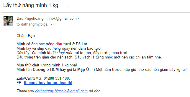 Nội dung email marketing chi tiết