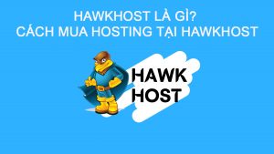 Hawkhost là gì? Cách mua hosting tại Hawkhost với giá cực tốt 2022