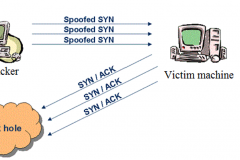 Các loại tấn công từ chối dịch vụ DDoS