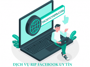 Độ Uy Tín Của Dịch Vụ Rip Facebook tại Dichvuvipfb 02