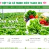 Web bán thực phẩm sạch đẹp và tinh tế MTP08