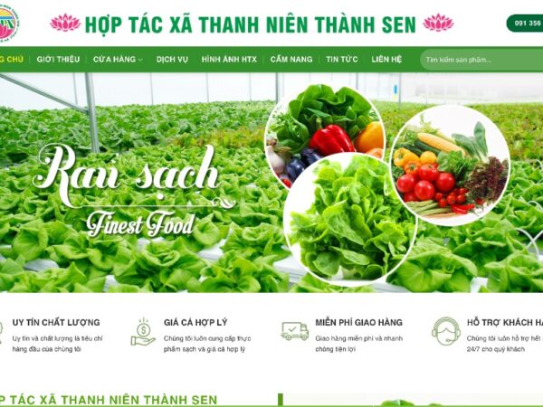 Web bán thực phẩm sạch đẹp và tinh tế MTP08