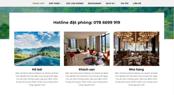 Website du lịch tùy biến theo yêu cầu giới thiệu về doanh nghiệp MDL10